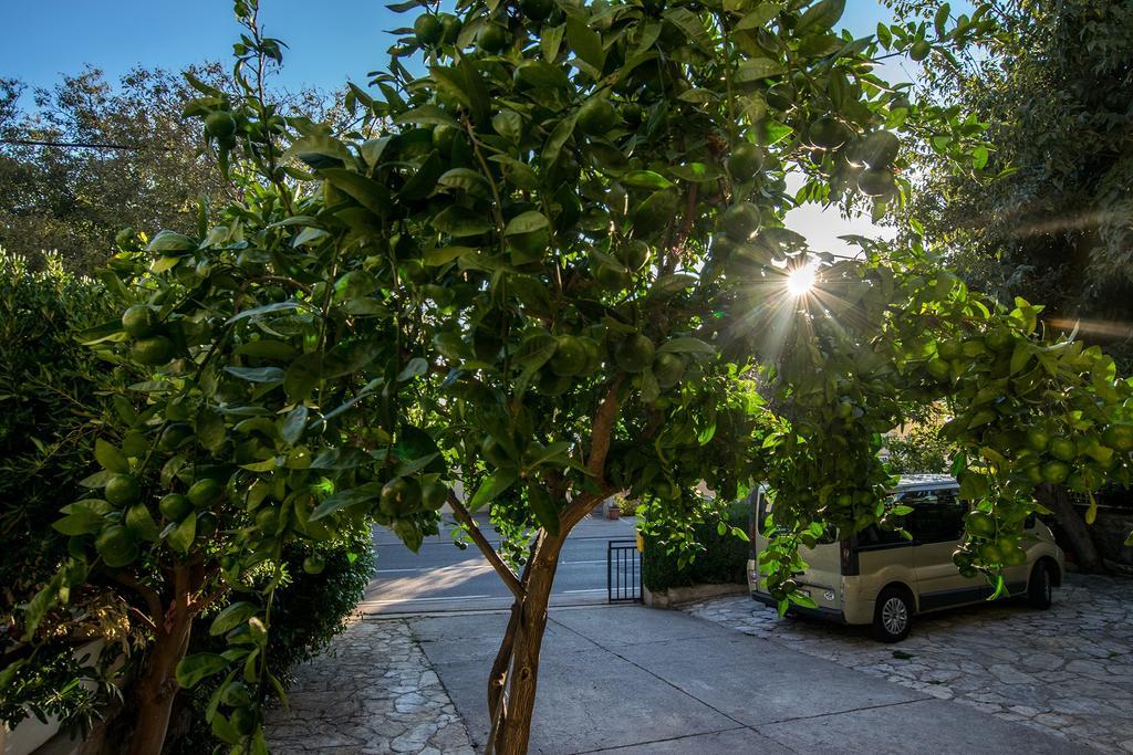 Apartment Skeva Stari Grad Kültér fotó